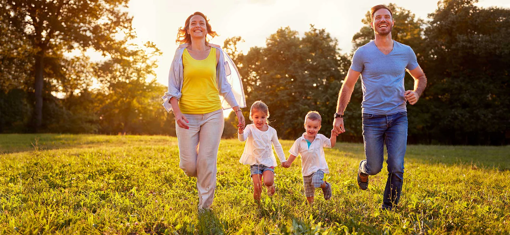 Elevate Your Natural Wellness Journey